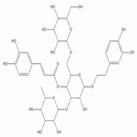 松果菊苷82854-37-3 HPLC≥98% 20mg/支 分析標(biāo)準(zhǔn)品/對照品