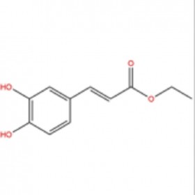 咖啡酸乙酯102-37-4 HPLC≥98%  20mg/支 分析標(biāo)準(zhǔn)品/對(duì)照品