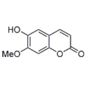 異東莨 菪內(nèi)酯 HPLC≥98% 10mg/支 分析標(biāo)準(zhǔn)品/對照品