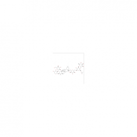 【樂美天】Acanthopanaxoside B   CAS No：915792-03-9  HPLC≥98%  10mg/支  中藥對照品標準品