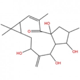 【樂美天】7-羥基千金子二萜醇  34208-98-5   HPLC≥98%   20mg/支標(biāo)準(zhǔn)品/對照品