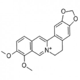 【樂美天】小檗堿  2086-83-1 HPLC≥98%  20mg/支分析標(biāo)準(zhǔn)品/對(duì)照品