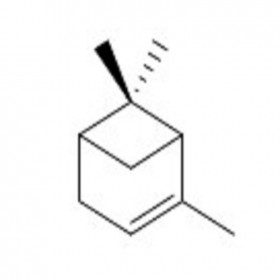α-蒎烯80-56-8GC≥98% 20mg/支分析標(biāo)準(zhǔn)品/對(duì)照品