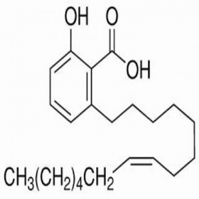 銀杏酚酸（15:1） 22910-60-7	HPLC≥98%  20mg/支標(biāo)準(zhǔn)品