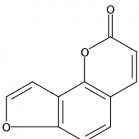 DF0095 牛防風(fēng)素 483-66-9 HPLC≥98% 20mg/支標(biāo)準(zhǔn)品對(duì)照品