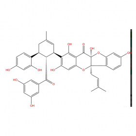 【樂美天】桑根酮D	Sanggenone D	81422-93-7	HPLC≥97%	10mg/支分析標準品/對照品