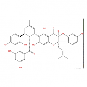 【樂(lè)美天】桑根酮C	Sanggenone C	80651-76-9	HPLC≥98% 	20mg/支分析標(biāo)準(zhǔn)品/對(duì)照品