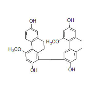 844493-85-2 曼思特新品推薦 Gymconopin C