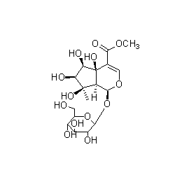 CAS號1621720-47-5 英文名9-epi-Phlomiol曼思特推薦