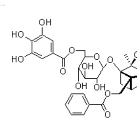 6'-O-沒(méi)食子酰白芍苷CAS號(hào)929042-36-4 曼思特現(xiàn)貨上市