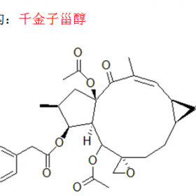 千金子甾醇 曼思特新貨出爐