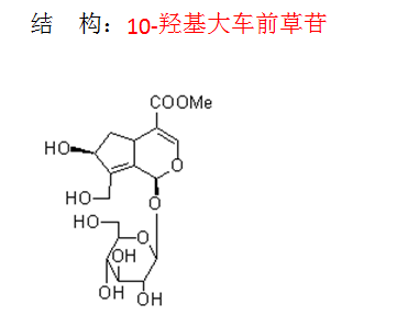 10-羥基大車前草苷