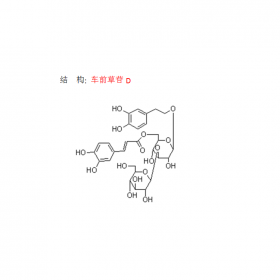 車前提取車前草苷D  曼思特現(xiàn)貨上市