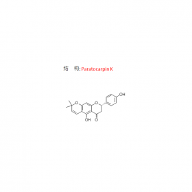 Paratocarpin K CAS號(hào)170900-13-7