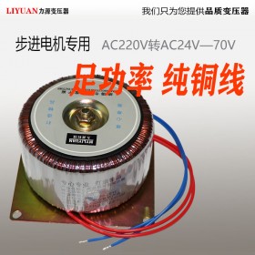 環(huán)形變壓器220V/60V墻暖供暖1000W純銅安全電源-力源