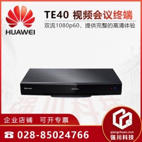 TE40電視電話會(huì)議系統(tǒng)_成都視頻會(huì)議系統(tǒng)方案定制商