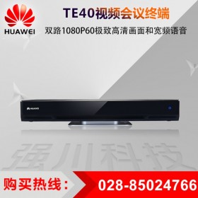 HUAWEI會(huì)議終端代理商_華為 TE40-1080P30 H.323 或 SIP 協(xié)議