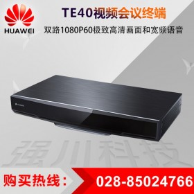 巴中華為視訊系統(tǒng)代理 TE40-1080p30幀購(gòu)買License升級(jí)到60幀 會(huì)議室集成和快速部署