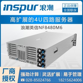 （國產(chǎn)）拉薩市浪潮服務(wù)器代理商_inspur NF8480M6/NF5466M6 大數(shù)據(jù)存儲(chǔ)服務(wù)器