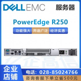 貴陽(yáng)市戴爾服務(wù)器總代理_DELL PowerEdge R250新款服務(wù)器替代R240主機(jī)