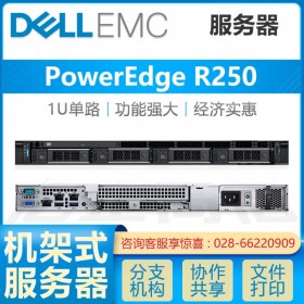 成都服務器總代理丨戴爾PowerEdge R250 四核管家婆服務器