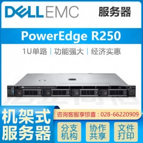 巴中戴爾服務(wù)器總代理丨DELL PowerEdge R250機(jī)架式ERP服務(wù)器