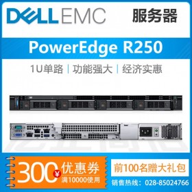 德陽戴爾服務(wù)器總代理丨DELL R250機(jī)架式服務(wù)器主機(jī) 公司財務(wù)服務(wù)器