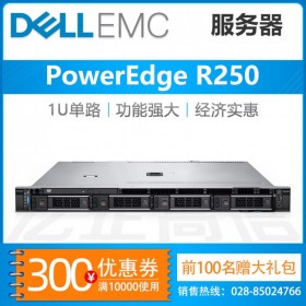 西藏戴爾服務(wù)器代理商丨DELL PowerEdge R250 用友服務(wù)器_原廠工程師推薦