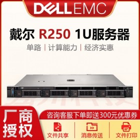 戴爾自貢內(nèi)江代理商PowerEdge R250入門級服務器 1U機架式 單路服務器