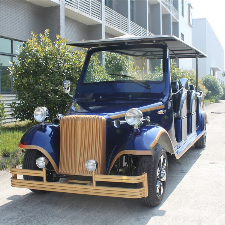 老爺車 大豐和豪華觀光車4坐純電動(dòng)自駕游車 可定制