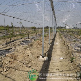 避雨棚 現(xiàn)代農(nóng)業(yè) 鍍鋅管 遮陽保溫 避雨棚 溫室大棚