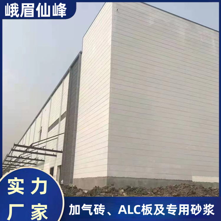 輕質磚隔墻板 隔音防火防水墻 隔熱吸音建筑專用 加氣塊廠家