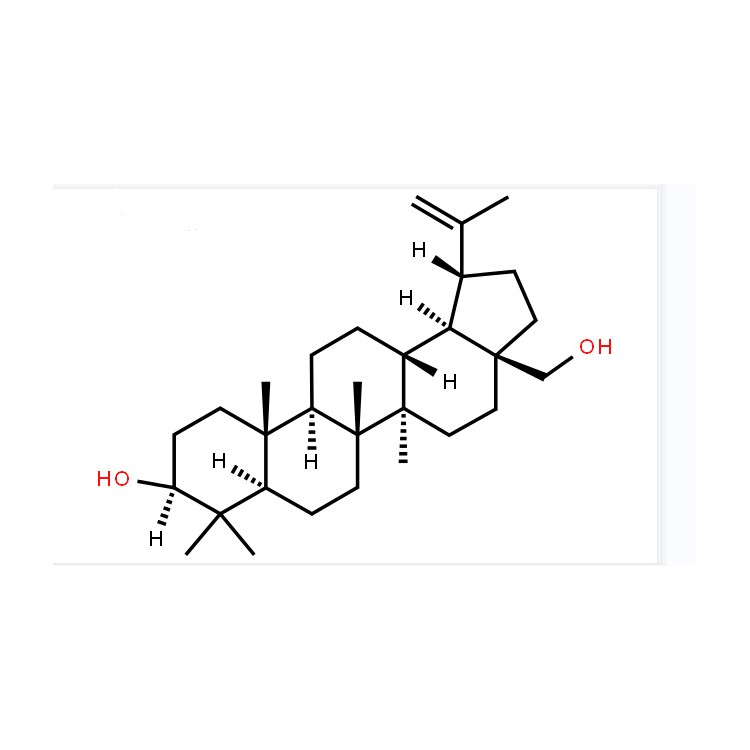 白樺脂醇98%CAS號 473-98-3 中藥對照品 標準品 圖譜全