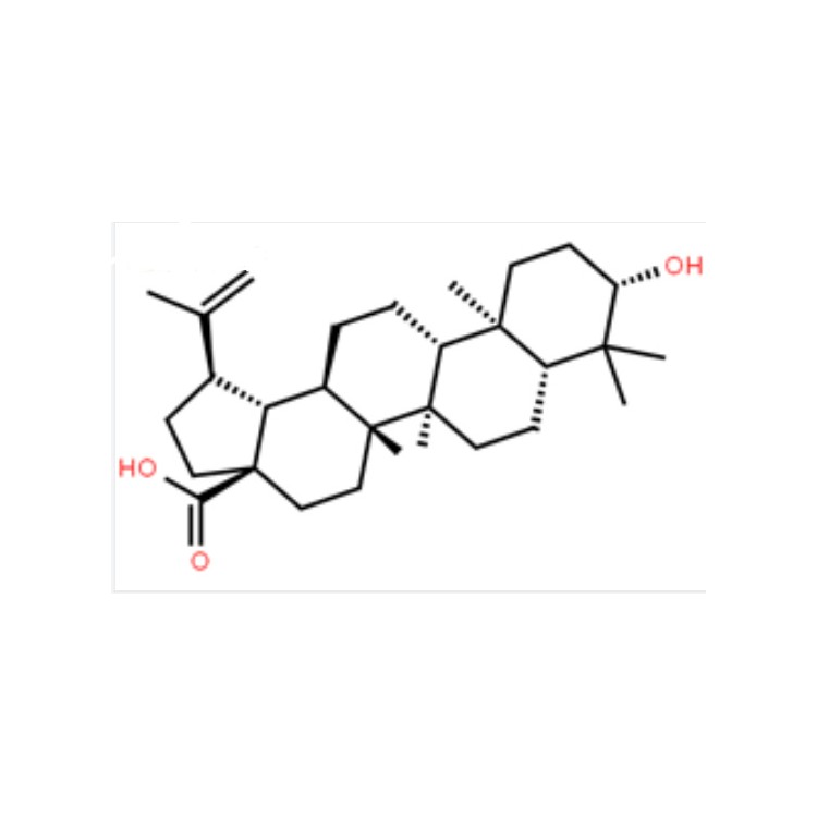 表白樺脂酸 中藥對(duì)照品 8736-77-5 僅供實(shí)驗(yàn) HPLC≥98%