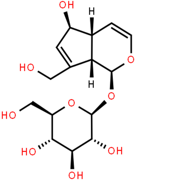 桃葉珊瑚苷 hplc98% 三大圖譜 科研直供 中藥對照品標(biāo)準(zhǔn)品