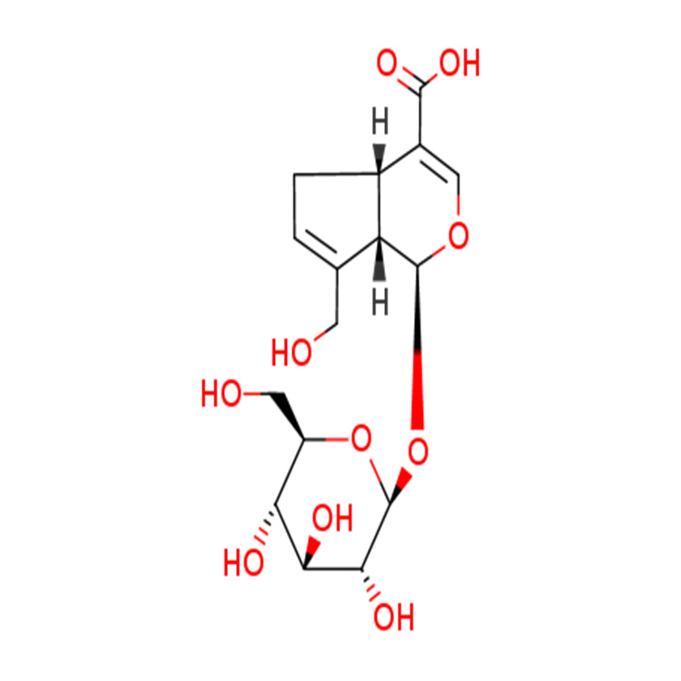 京尼平苷酸  萬(wàn)余種產(chǎn)品庫(kù)存足  支持貨到付款 可定制生產(chǎn)