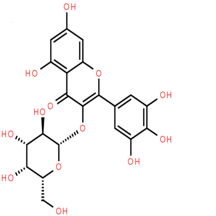 楊梅素-3-O-半乳糖苷 純度98% 中藥對照品標準品 支持定制