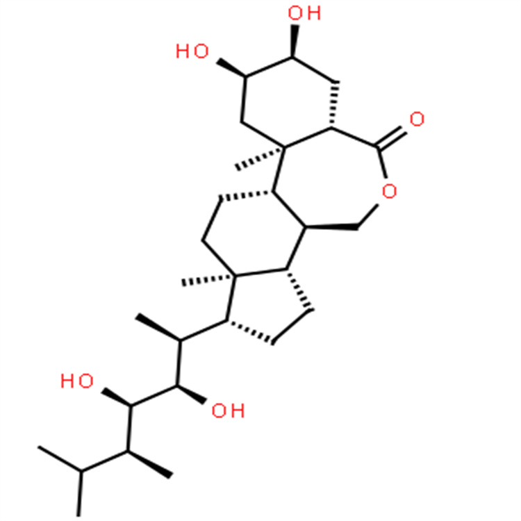 蕓苔素內(nèi)酯;油菜素內(nèi)酯 72962-43-7 中藥對照品標準品