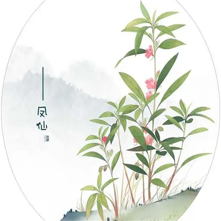 158722-23-7  對(duì)照品標(biāo)準(zhǔn)品  現(xiàn)貨直發(fā) 提取純化 技術(shù)服務(wù)