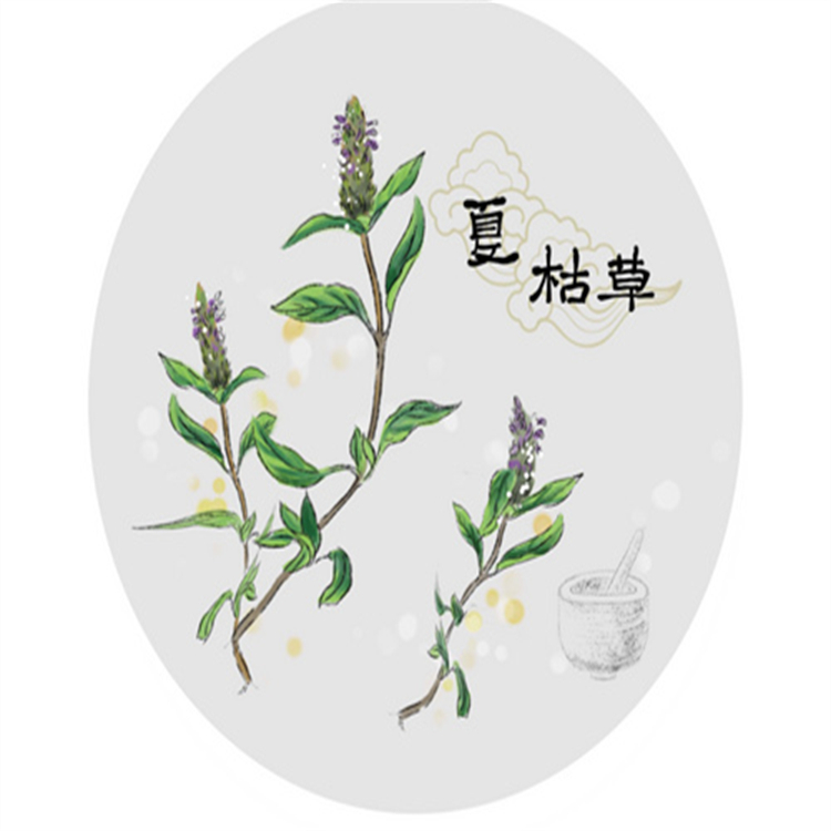 (N-1)多西他賽中間體  114915-14-9   對(duì)照品標(biāo)準(zhǔn)品 98% 圖譜全