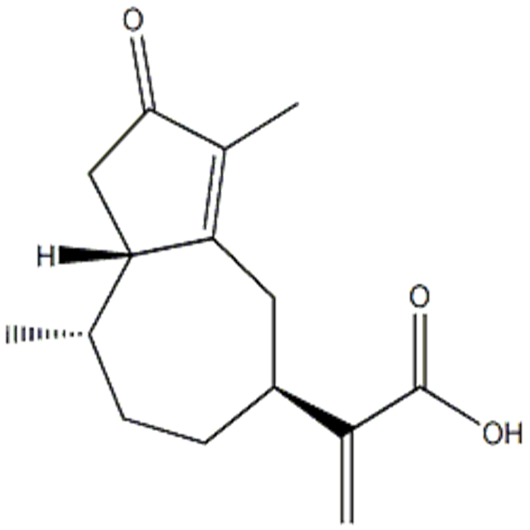 一枝蒿酮酸 CAS:115473-63-7 Rupestonic acid 中藥對(duì)照品 標(biāo)準(zhǔn)品