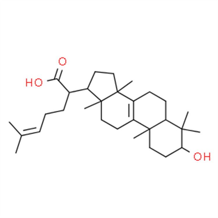 栓菌酸 24160-36-9 HPLC≥97% 5mg/支 分析標準品/對照品