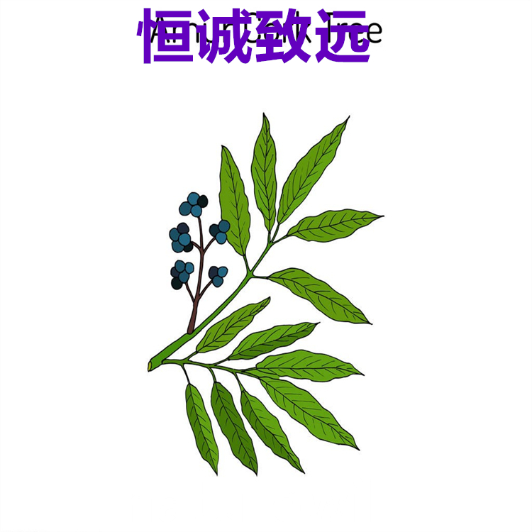 人參皂苷Rb3  68406-26-8  hplc98%  對(duì)照品 自制標(biāo)準(zhǔn)品