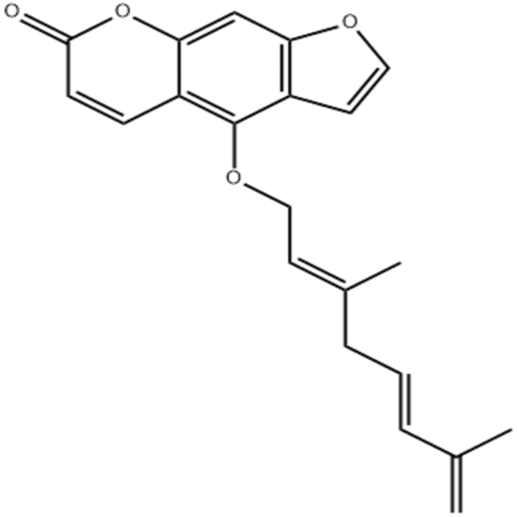 脫水羌活酚,去氫羌活內(nèi)酯 88206-51-3 分析標準品對照品