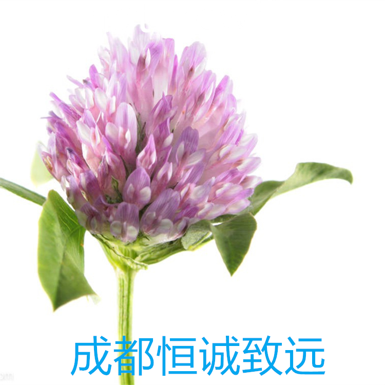 原花青素A2  41743-41-3   科研專用 98% 自制對(duì)照品