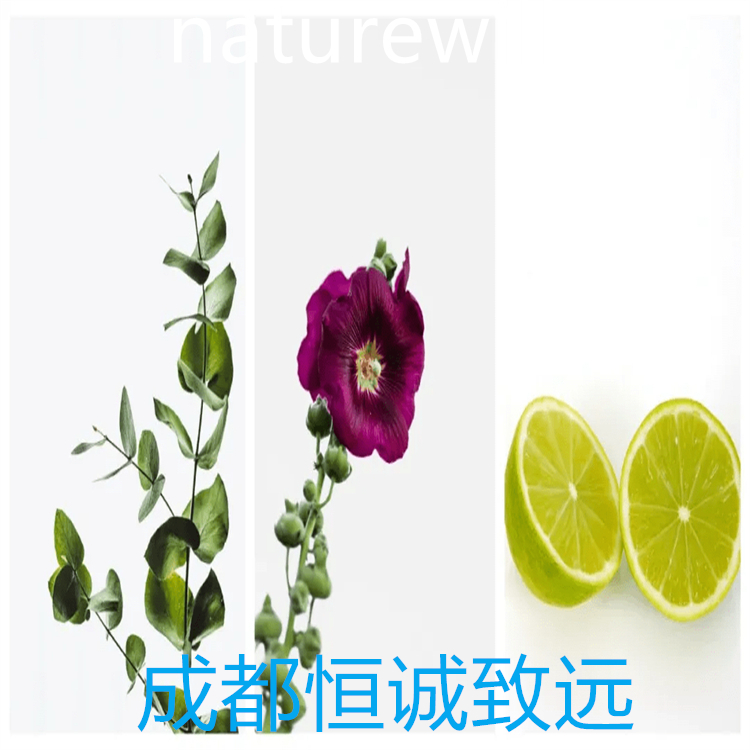 木香烴內(nèi)酯  純度大于98%    對(duì)照品標(biāo)準(zhǔn)品  圖譜全  科研專用