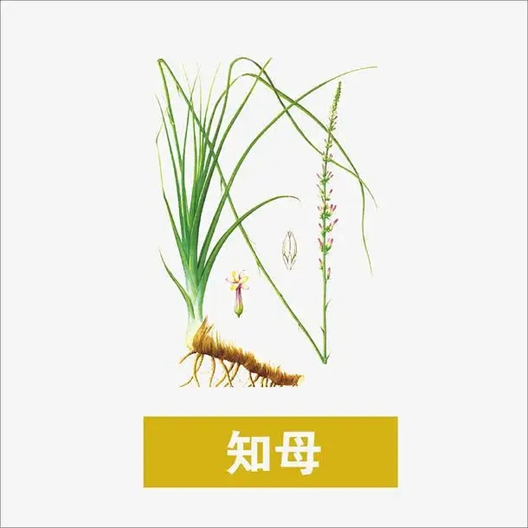 84873-15-4自制重要對(duì)照品 標(biāo)準(zhǔn)品 純度98%