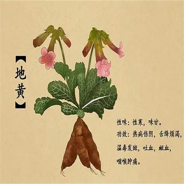 粘毛黃芩素III  92519-91-0 分析對(duì)照品標(biāo)準(zhǔn)品廠家 純度98%