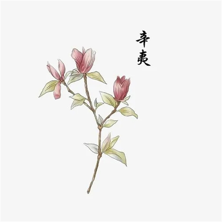 酸性黃36 587-98-4 中藥對(duì)照品標(biāo)準(zhǔn)品廠家 純度98%科研用