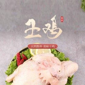 【熊哥特產店】生態(tài)土雞 生態(tài)散養(yǎng) 農家自養(yǎng)無添加 直銷